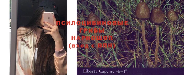 мяу мяу мука Кинешма