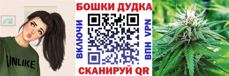 Шишки марихуана Amnesia  Купить где  Таруса 